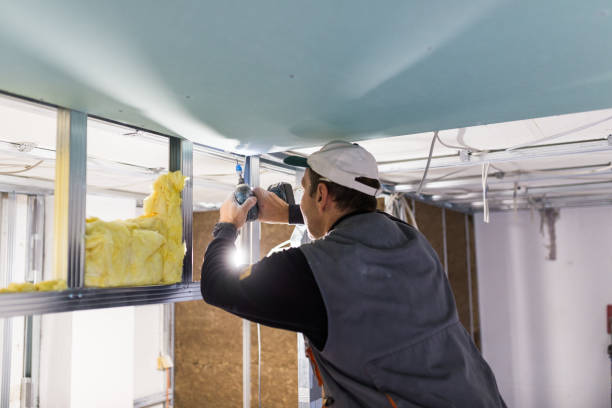 Best Residential Insulation in Mcnary, AZ