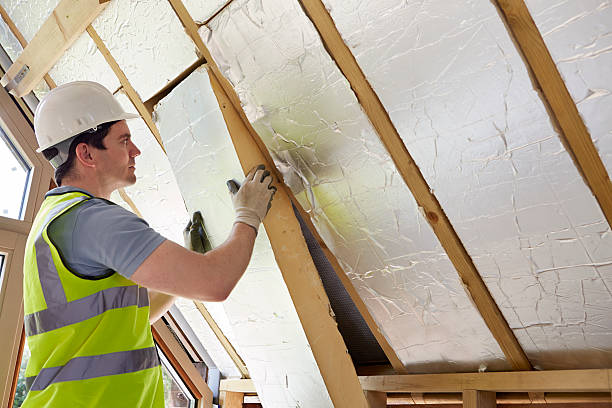 Types of Insulation We Offer in Mcnary, AZ