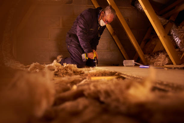 Best Insulation Maintenance and Repair in Mcnary, AZ
